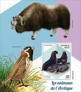 Niger - 2021 Arctic Animals, Sea Lion - Stamp Souvenir Sheet - NIG210421b