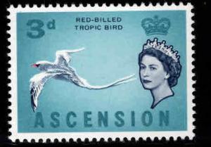 ASCENSION  Scott 78 MNH** Bird stamp