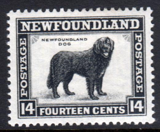 Newfoundland GV 1932 14c Black SG216 Mint Hinged