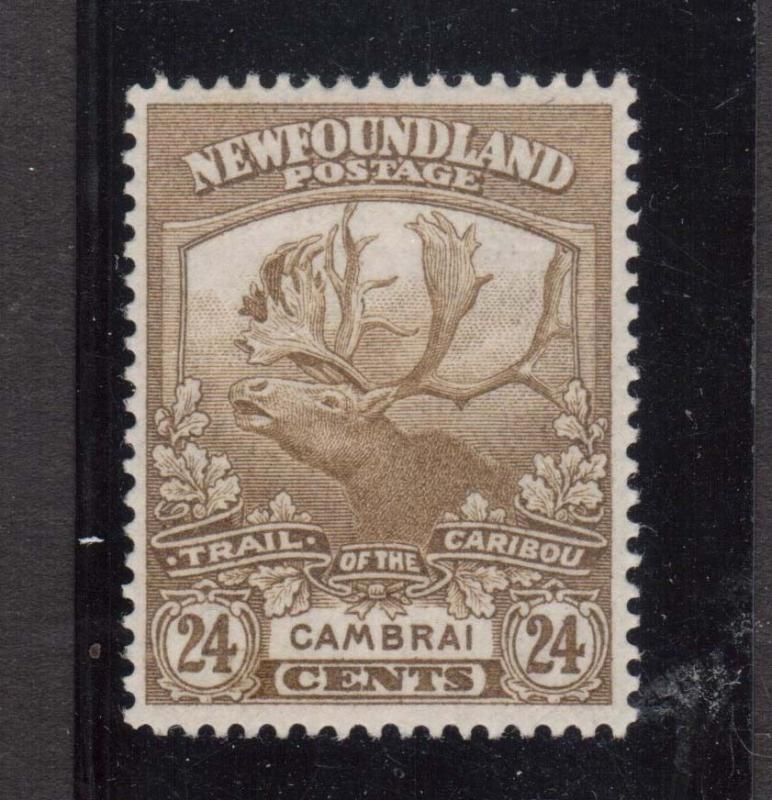 Newfoundland #125 XF Mint