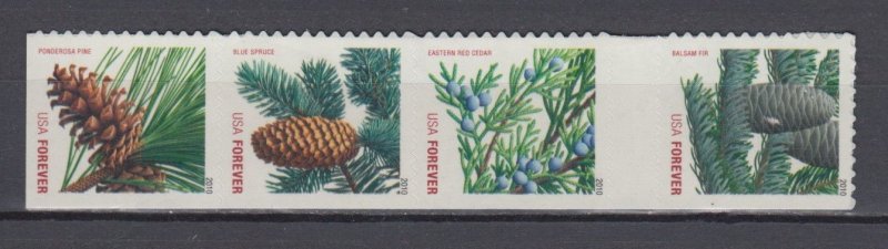 (F) ​USA Sc#4482-85 Holiday Evergreens  Strip of 4  from ATM Booklet MNH