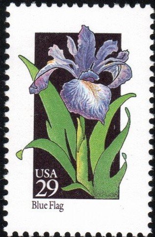 United States 2663 - Mint-NH - 29c Blue Flag Iris / Flower (1992) (cv $0.60)