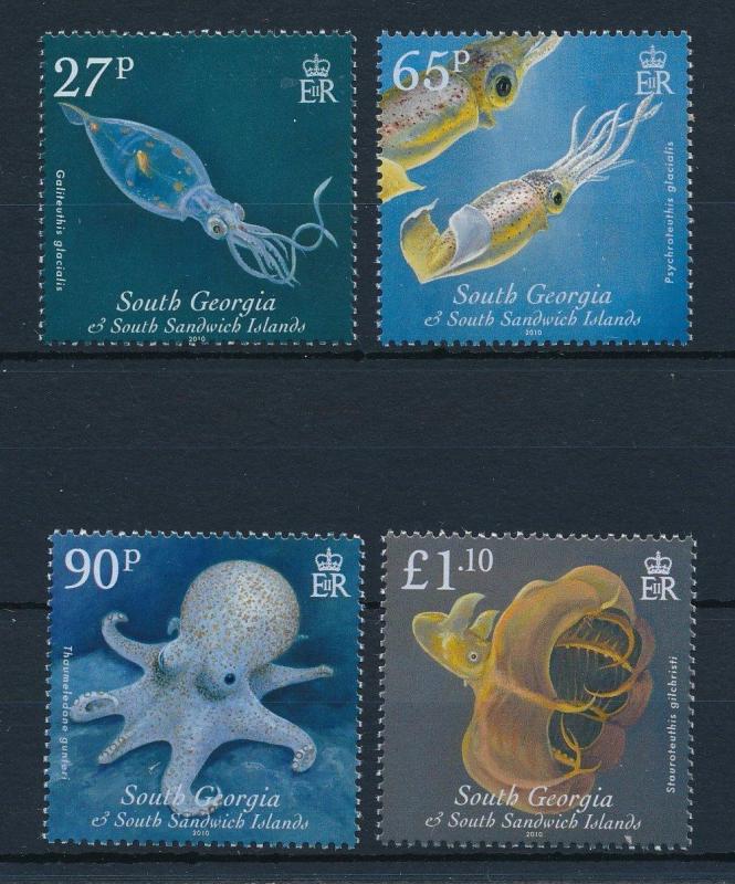 [28222] South Georgia 2010 Marine Life Squid Octopus MNH