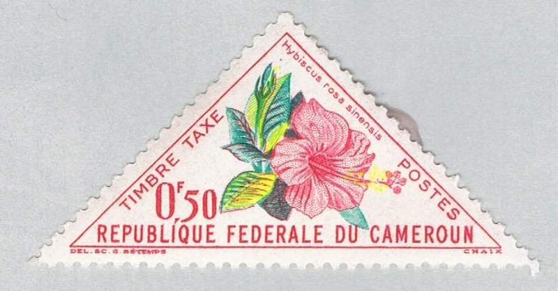 Cameroun Hibiscus flower 1 (AP127311)