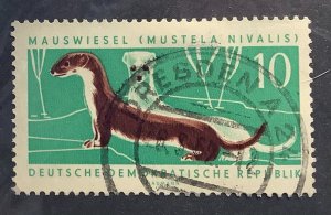 Germany DDR 1962 Scott 592 used - 10pf, Protected animals, Least Weasel