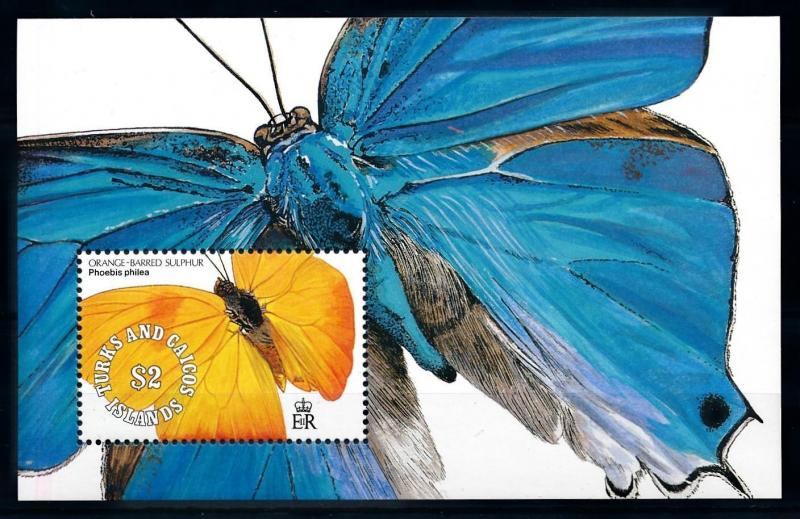 [75546] Turks & Caicos Islands 1991 Butterflies Papillons Souvenir Sheet MNH