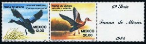 Mexico 1346-1347 strip/label,MNH.Michel 1893-1894. Aquatic birds 1984.Cairina