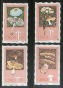 Ciskei 1987 Edible Mushrooms Fungi Plant Tree Sc 102-5 MNH # 2954