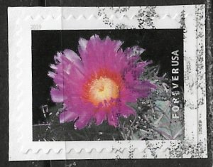 US ~ Scott # 5357 ~ Used on paper ~ Cactus Flowers