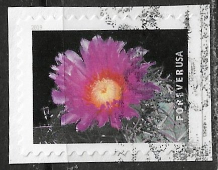 US ~ Scott # 5357 ~ Used on paper ~ Cactus Flowers