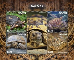 Liberia - 2020 Turtles & Tortoises - 4 Stamp Sheet - LIB200221a