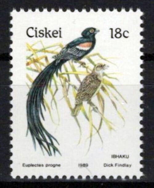 South Africa Ciskei 20 MNH Birds Wildlife Nature ZAYIX 0424S0070M