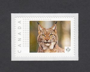 LQ.  LYNX = Picture Postage Personalized stamp MNH Canada 2014  p5w6/3