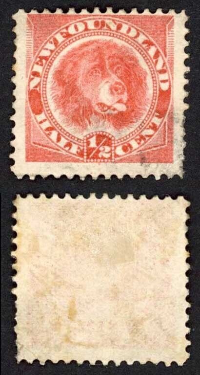 Newfoundland SG49 1/2c Rose-red Used Cat 11 pounds