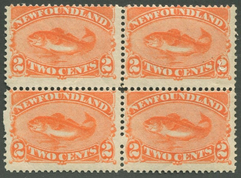 NEWFOUNDLAND #48 MINT BLOCK OF 4 NH