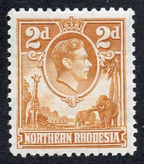 Northern Rhodesia SG31 KGVI 2d Yellow Brown M/M