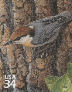 US 3611d Longleaf Pine Forest Brown-headed Nuthatch 34c single MNH 2002