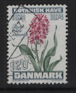 Denmark  #561  used  1974  flowers  120o