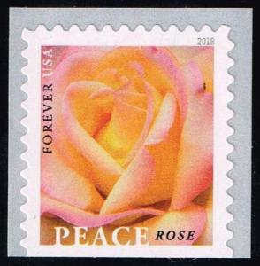 US #5280 Peace Rose; MNH (1.00)