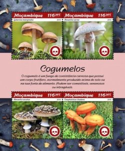 Mozambique - 2019 Mushrooms - 4 Stamp Sheet - MOZ190102a