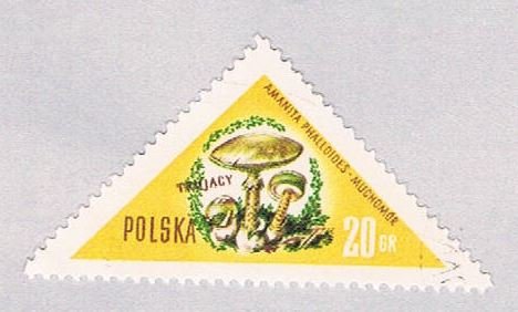 Poland 842 Used Mushrooms 20 1959 (BP4115)