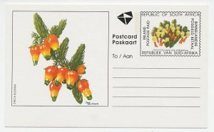 Postal stationery South Africa Flower - Plant - Erica