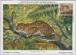 52128 - ANGOLA - MAXIMUM CARD - 1954 ANIMALS: LEOPARD-