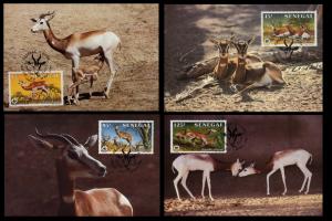 Senegal WWF Dama Gazelle 4 official Maxicards