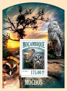 Mozambique 2013 Owls on Stamps Stamp Souvenir Sheet 13A-1359