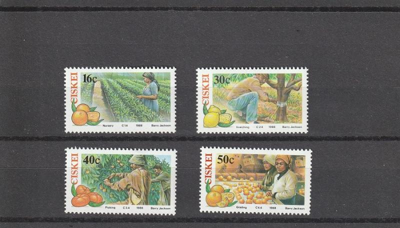 Ciskei  Scott#  123-6  MNH