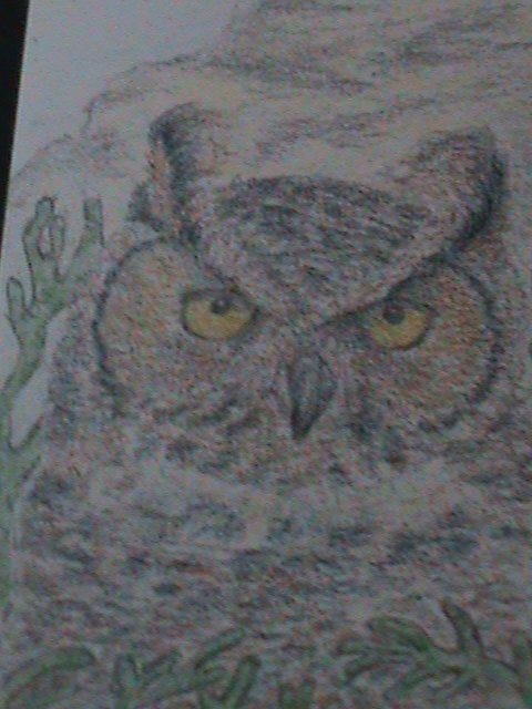 ​GUYANA-RARE LOVELY BEAUTIFUL BUTTERFLIES GOLD & SILVER IMPERF S/S MNH VF