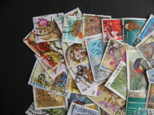 Collection breakdown! 40 different ZAMBIA stamps, some mixed condition