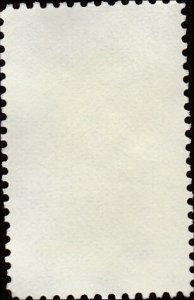 # 1762 USED BARRED OWL