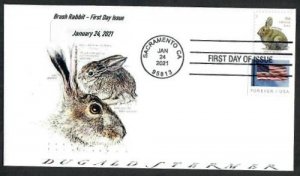 5544 - FDC - Brush Rabbit Additional Ounce -Pane - Wally Jr Cachet 21-B-101-FDOI