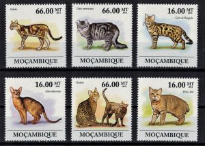 MOZAMBIQUE 2011 - Cats / complete set MNH