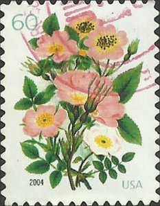 # 3837 USED FIVE VARIETIES OF PINK ROSES