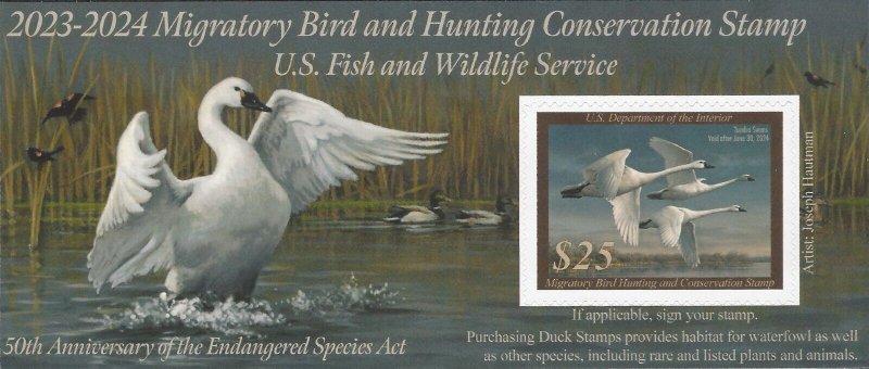 US Scott #RW90A MNH XF 2023 - 2024 - US Federal Duck Stamp, Post Office FRESH