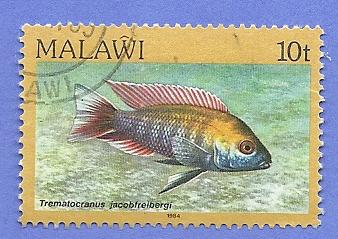 Malawi Scott #432 Fish, used