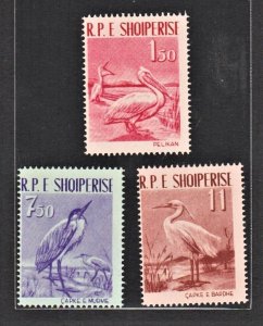 ALBANIA 1961 Protection of Wildlife Pelicans (3v Cpt) MNH CV$20