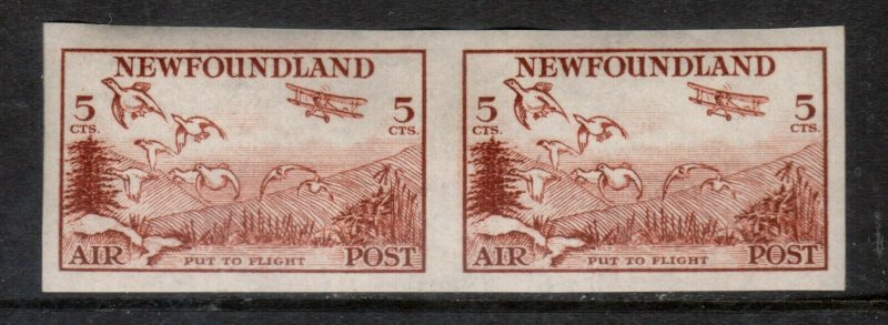 Newfoundland #C14a Very Fine Never Hinged Imperf Pair