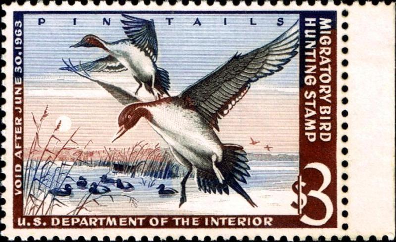 US.# RW29 UNUSED Margin Copy Federal Duck Stamp NG -VF 