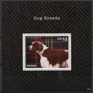 Ghana 2014 MNH Dog Breeds 1v S/S Dogs Pets Welsh Springer Spaniel