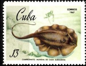 CUBA Sc# 1280 MARINE LIFE underwater fishing  STING RAY FISH 13c  1967  MNH