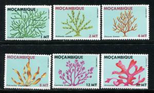 Mozambique 851-856 MNH, 1983. Marine Life. x29490