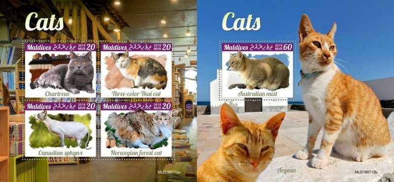 Z08 IMPERF MLD190712ab MALDIVES 2019 Cats MNH ** Postfrisch
