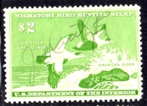 US Stamp #RW24 - SUPER Pair of American Eiders in Flight