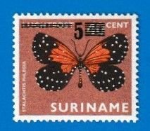 SURINAME SCOTT#498 1977 5c DOTTED PRINCE BUTTERFLY - MNH