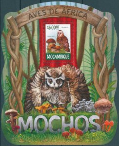 Mozambique 2015 MNH Birds of Prey on Stamps Owls Grass Owl Mushrooms 1v S/S III