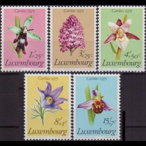 LUXEMBOURG 1975 - Scott# B303-7 Flowers Set of 5 NH