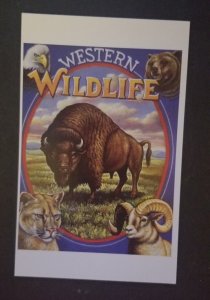 AMERICAN WILDLIFE  US Postal Card MINT Unused Legends of the West z9060